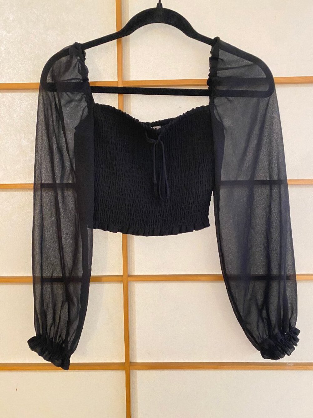 Black Aritzia Wilfred Smocked Chiffon Blouse, Sheer Puffed Sleeves